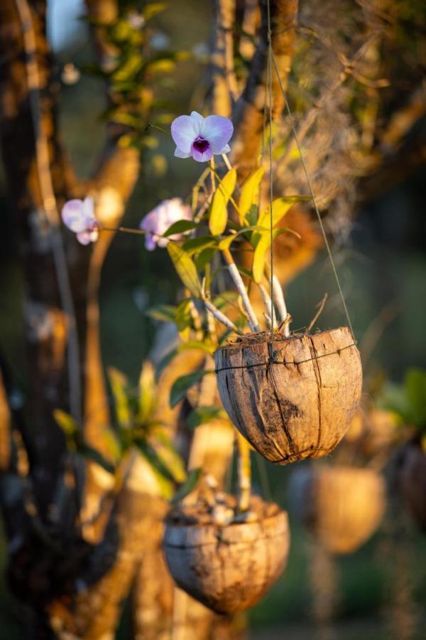 Resort Maison De Nongkhiaw エクステリア 写真